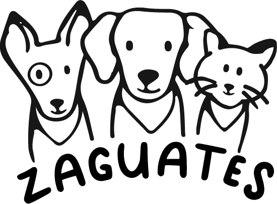 logo_principal
