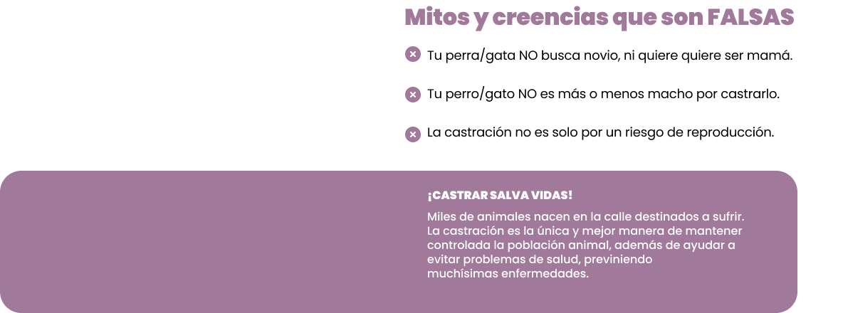 mitosycreencias