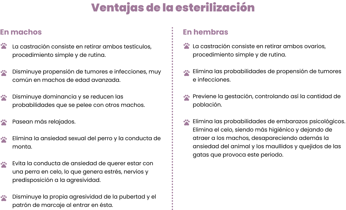 ventajacastraciones
