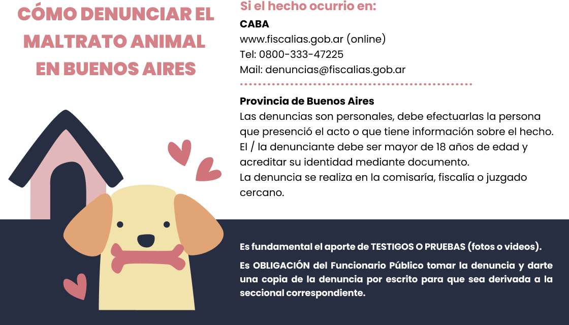 como denunciar el maltrato