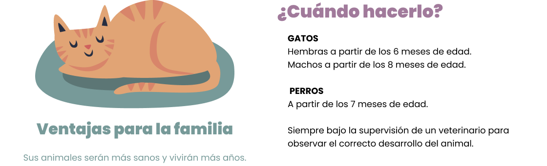 ventajas para la familia