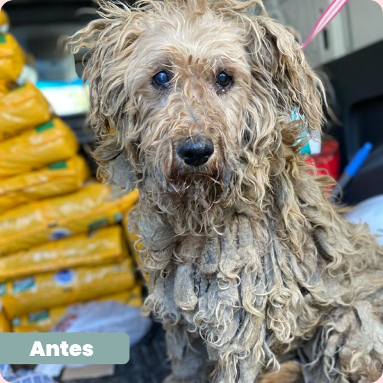 rita_antes